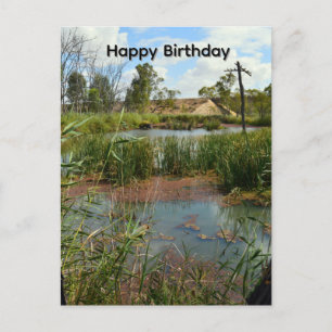 Carte Postale Paradis de la grenouille marécageuse Riverland Aus