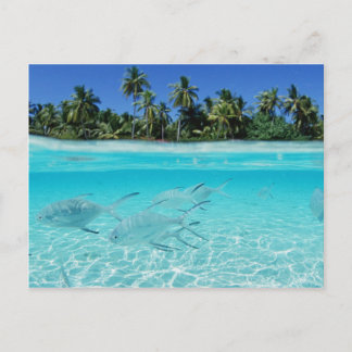 Carte Postale Paradis de l'île
