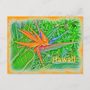 Carte postale paradis des oiseaux d'Hawaï