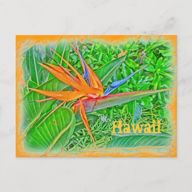 Carte postale paradis des oiseaux d'Hawaï (Devant)