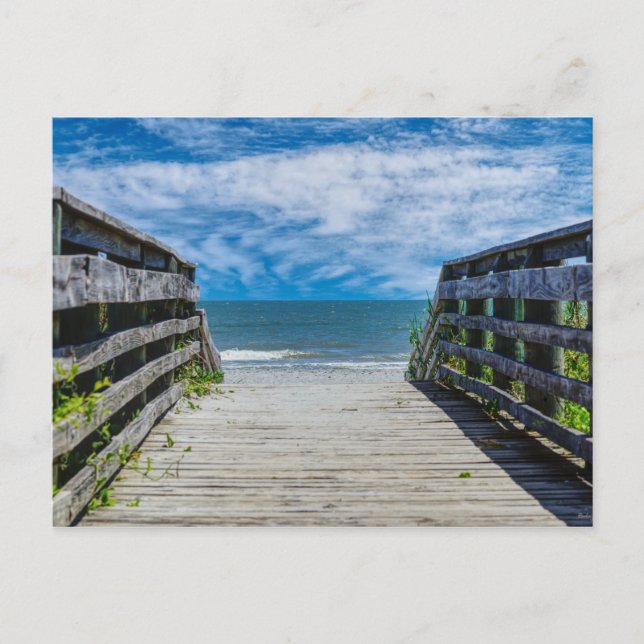 Carte postale Paradise (Devant)