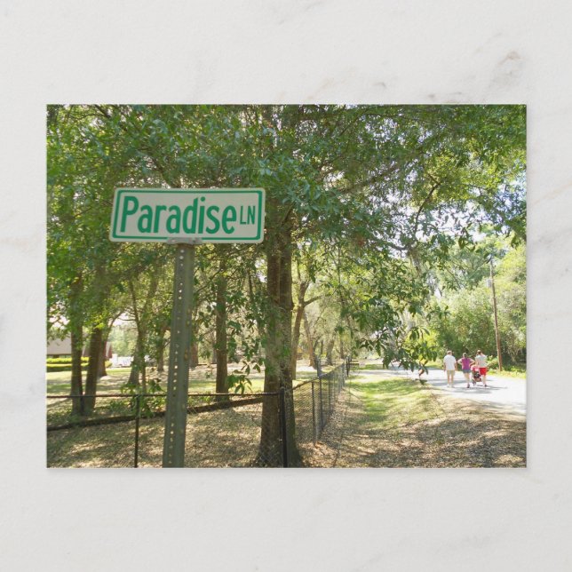 Carte Postale Paradise Lane Floride (Devant)