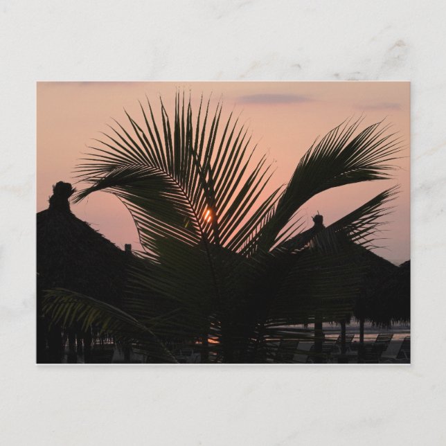 Carte Postale Paradise Village - Puerto Vallarta, Mexique (Devant)