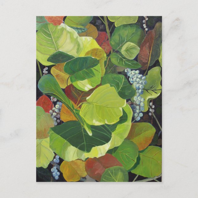 Carte Postale Paragraphe (Devant)