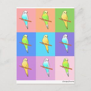 Carte Postale Parakeet Rainbow Rectangles