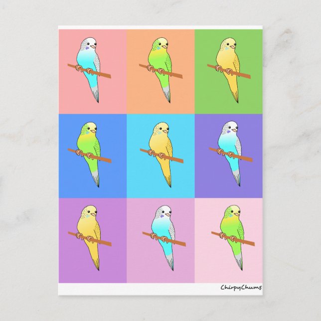 Carte Postale Parakeet Rainbow Rectangles (Devant)