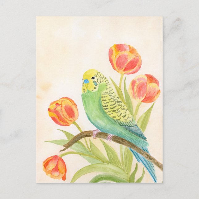 Carte Postale Parakeet with Tulips  (Devant)