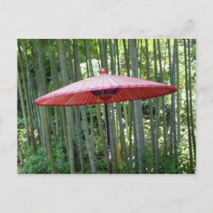 Carte Postale Parapluie japonais au milieu du bambou