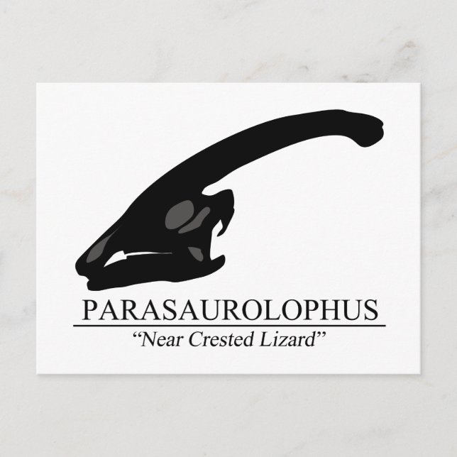 Carte Postale Parasaurolophus (Devant)