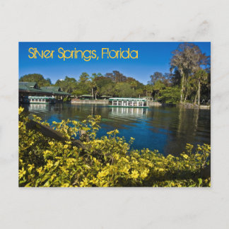 Carte Postale Parc à thème Silver Springs Nature, Floride, États