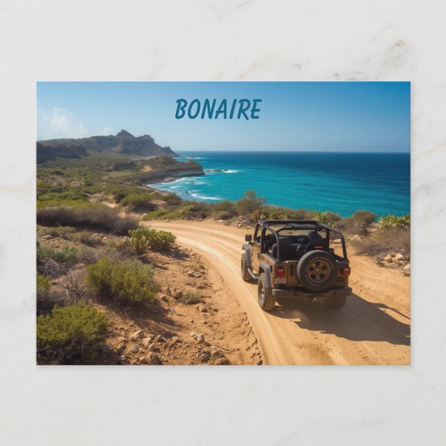 Carte Postale Parc Bonaire Slagbaai (Devant)