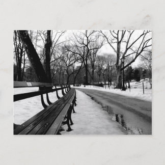 Carte Postale Parc central de Snowy