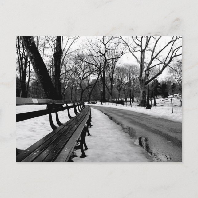 Carte Postale Parc central de Snowy (Devant)