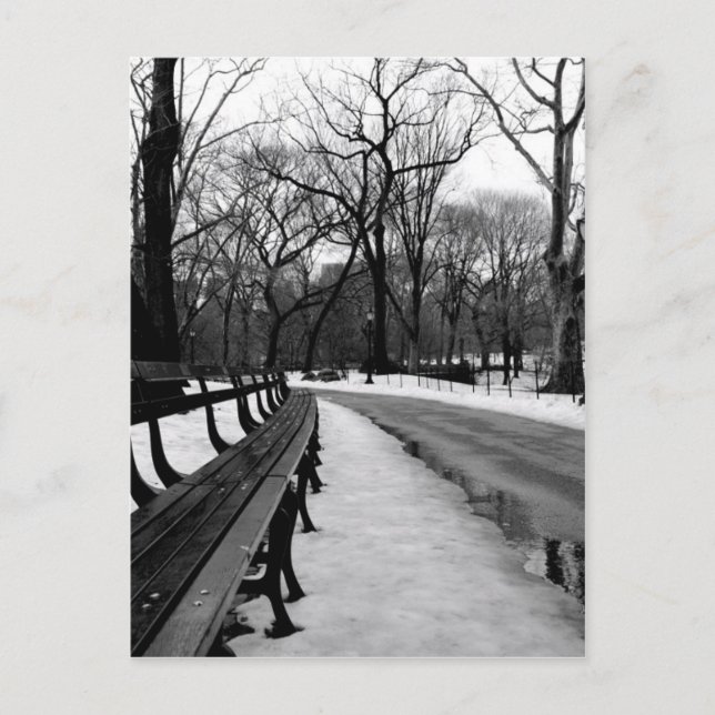 Carte Postale Parc central de Snowy (Devant)