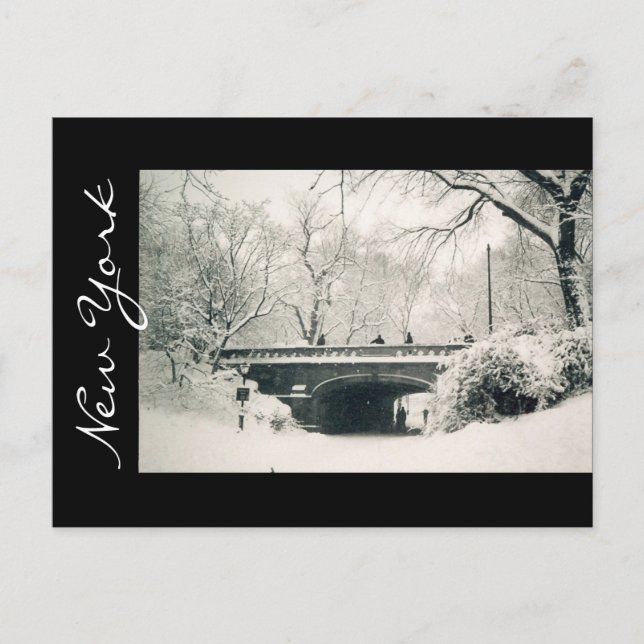 Carte Postale parc central new york (Devant)