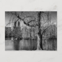 Parc central noir et blanc New York Paysage