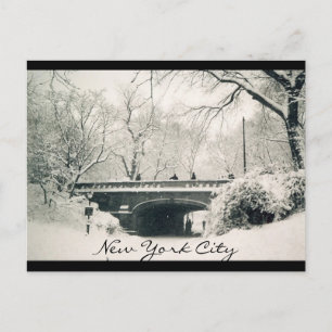Carte Postale parc central nyc