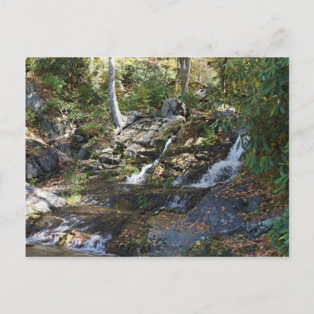 Carte Postale Parc commémoratif Bobby McLean #5, Newland, Caroli (Devant)