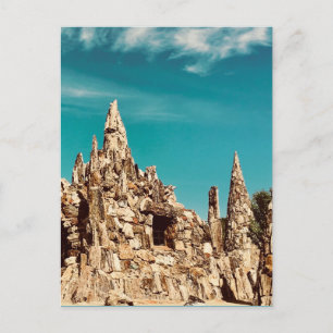 Carte Postale parc de bois pétrifié