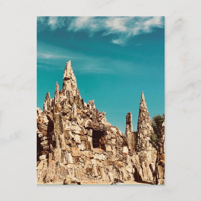 Carte Postale parc de bois pétrifié (Devant)