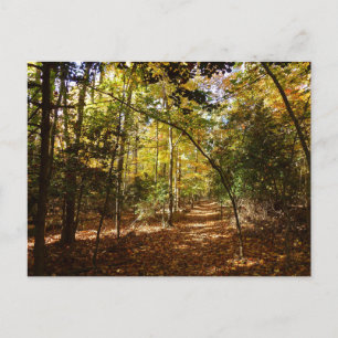 Carte Postale Parc de Greenbelt à l'automne I Paysage du Marylan