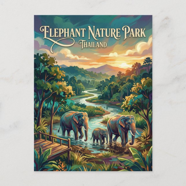 Carte Postale Parc de la Nature de l'Éléphant Thaïlande (Devant)