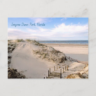 Carte Postale Parc des dunes de plage de Floride Ponce Inlet Car