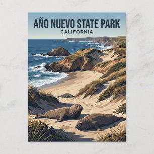Carte Postale Parc d'État Año Nuevo Californie