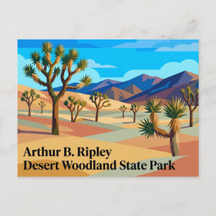 Carte Postale Parc d'État Arthur B. Ripley Desert Woodland