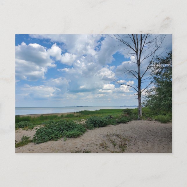 Carte Postale Parc d'état de Bay City (Devant)