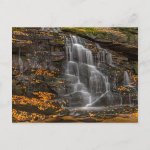 Carte Postale Parc d'État de Blackwater Falls