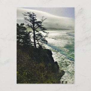 Carte Postale Parc d'État de Devil's Punchbowl, Newport, Oregon