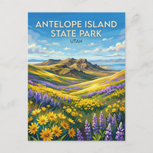 Carte Postale Parc d'État de l'île Antelope Utah