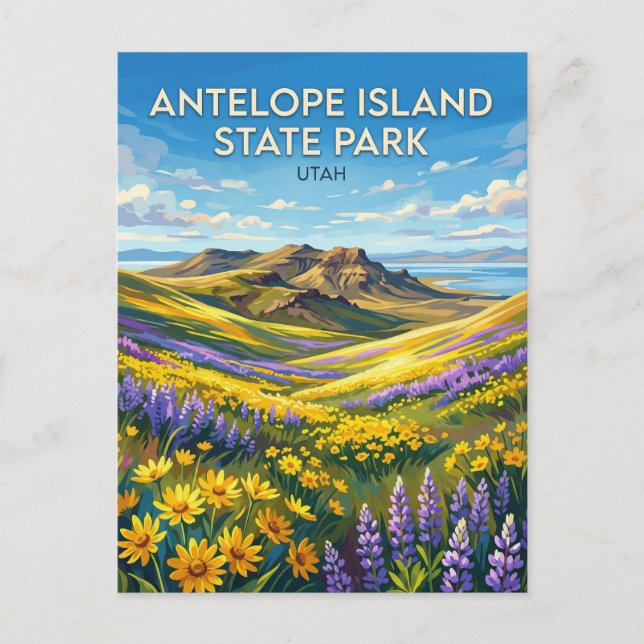 Carte Postale Parc d'État de l'île Antelope Utah (Devant)
