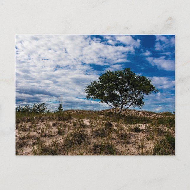 Carte Postale Parc d'état de Ludington, Michigan (Devant)