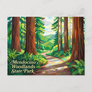 Carte Postale Parc d'État de Mendocino Woodlands Californie