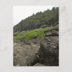 Carte Postale Parc d'État de Neptune, OR