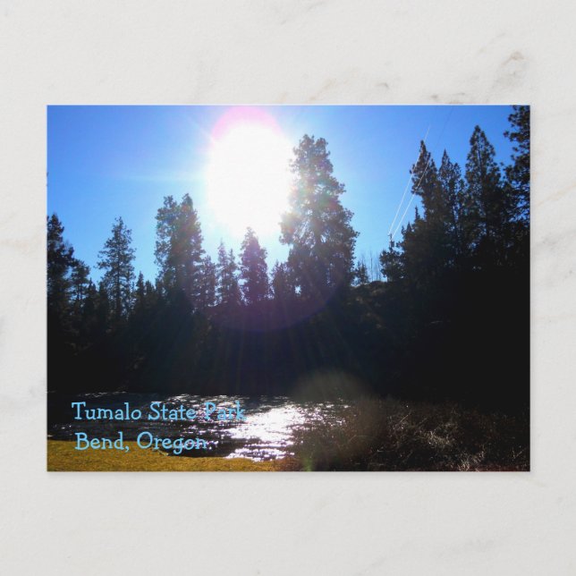 Carte Postale Parc d'état de Tumalo (Devant)
