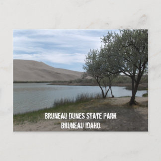 Carte Postale Parc d'état des Dunes Bruneau