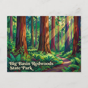 Carte Postale Parc d'État des séquoias de Big Basin Californie