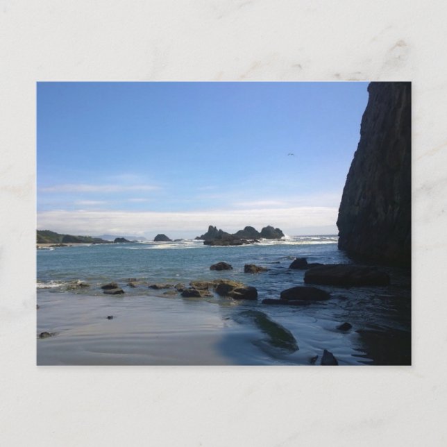 Carte Postale Parc d'État Seal Rock, OR (Devant)