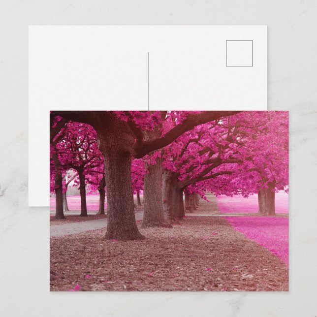 Carte Postale Parc d'Imaginaire rose (Devant / Derrière)