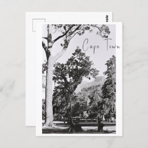 Carte Postale Parc du Cap Nature Mountain Afrique du Sud ZA