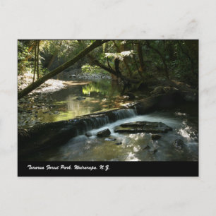 Carte Postale Parc forestier de Tararua, Wairarapa, N.Z.