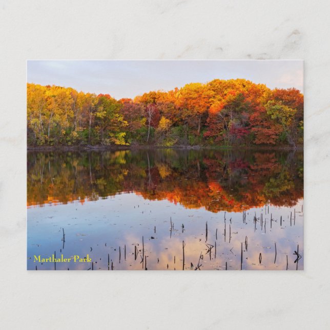 Carte Postale parc marthaler automne et réflexion d'étang postca (Devant)
