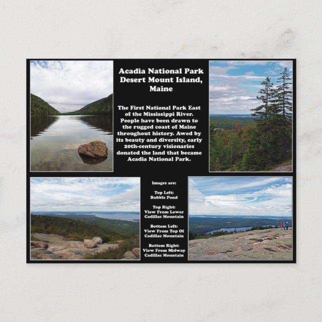 Carte Postale Parc national Acadia (Devant)