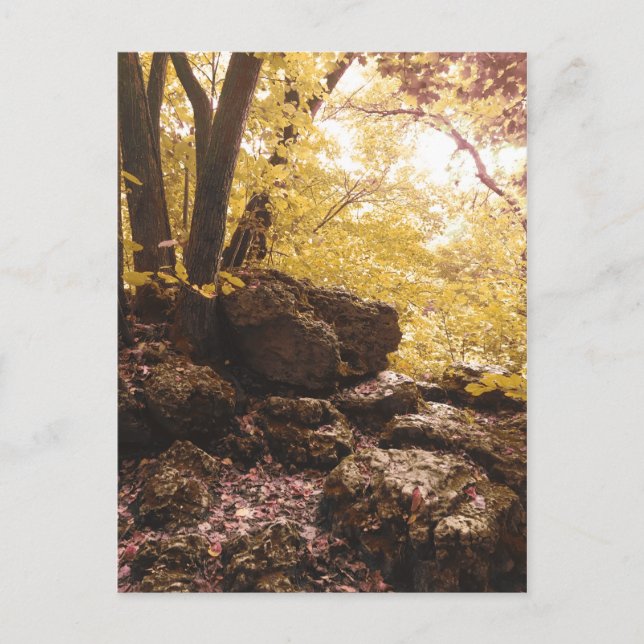 Carte Postale parc national backbone iowa (Devant)