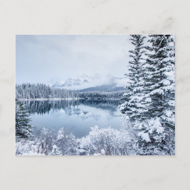 Carte Postale Parc national Banff en hiver (Devant)
