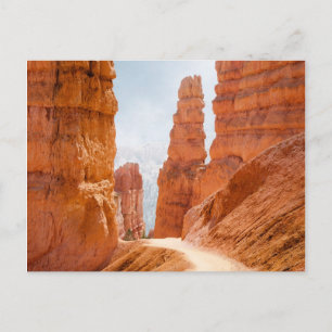 Carte Postale Parc national Bryce Canyon Trail