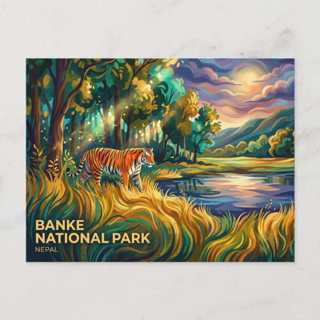 Carte Postale Parc national de Banke Népal (Devant)